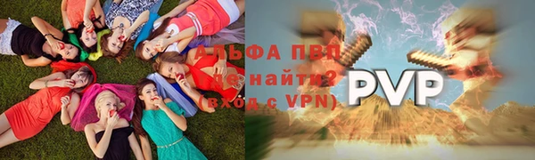 apvp Алексин