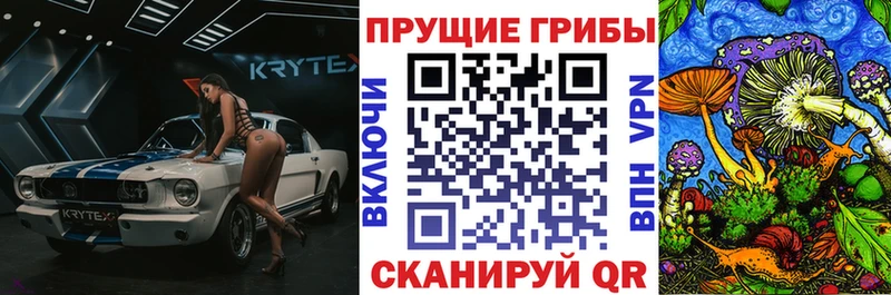Псилоцибиновые грибы Psilocybine cubensis  Бобров 